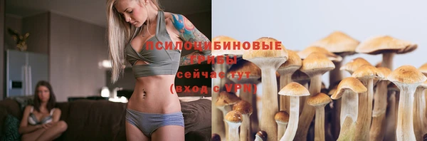 дмт Балахна