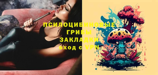 дмт Балахна