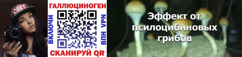 Галлюциногенные грибы прущие грибы  Лаишево 